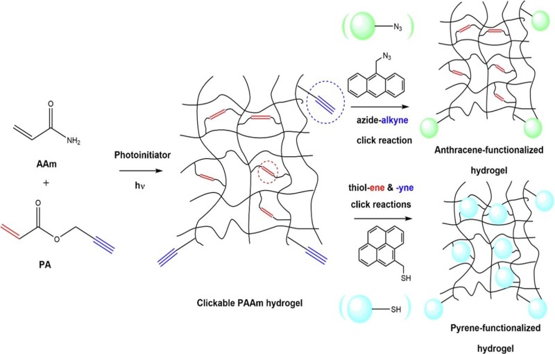 Light-induced synthesis and characterization of “Clickable” polyacrylamide hydrogels