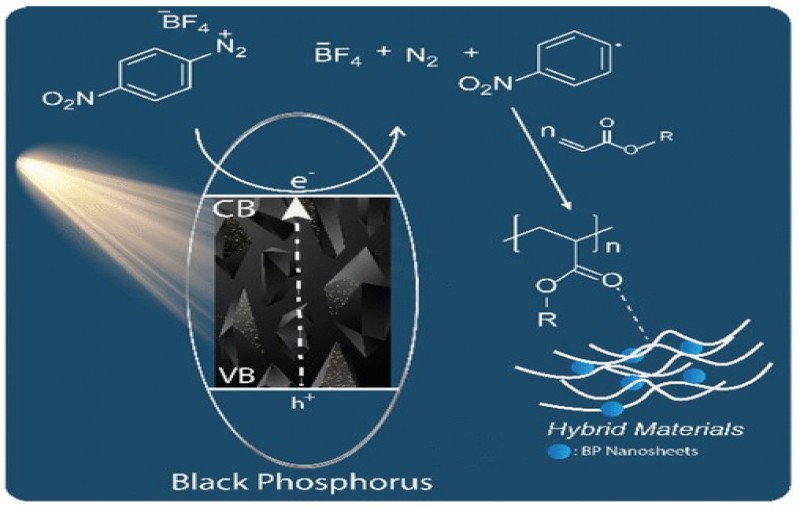 Expanding the Scope of 2D Black Phosphorus Catalysis to the Near-Infrared Light Initiated Free Radical Photopolymerization