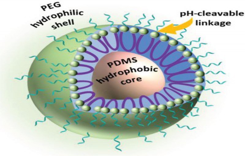 pH-Responsive Micelle-Forming Amphiphilic Triblock Copolymers.